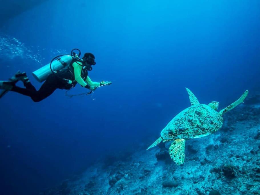 Vacanze Da Sogno ซานมิเกลเดียโบนา ภายนอก รูปภาพ